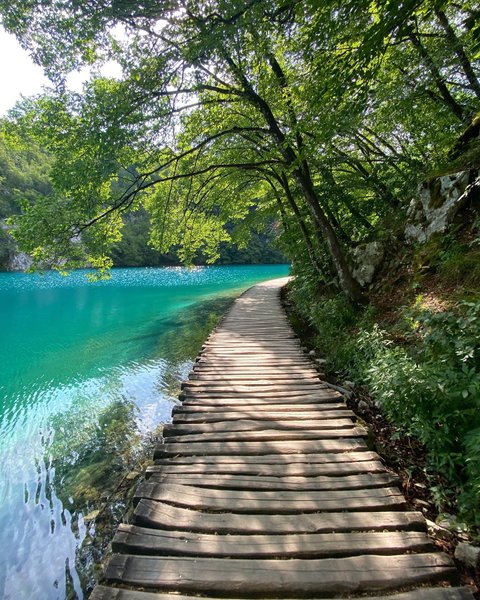 Thumbnail of p-cr90fyalt7e-24aff561325f4c72 1