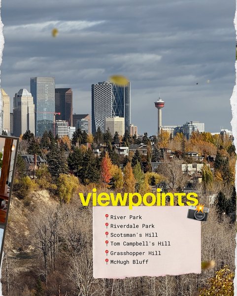 Thumbnail of p-djm1v0wztu-24b491852fe94941 7