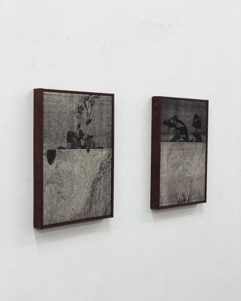 Thumbnail of p-c9ssjkiimev-24bdc336f94e426b 0