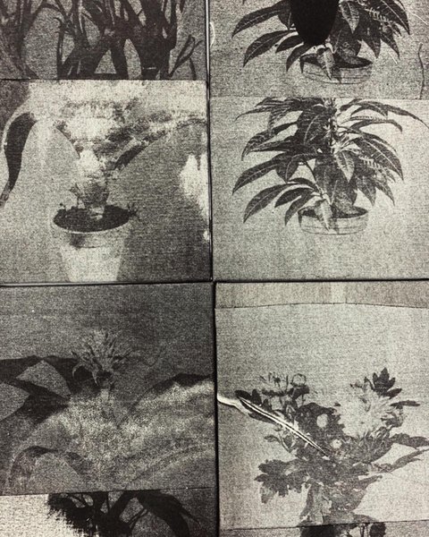 Thumbnail of p-c9ssjkiimev-24bdc336f94e426b 2