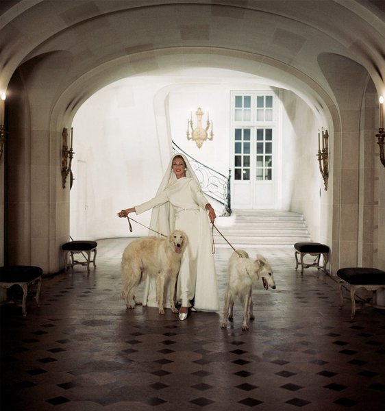 Thumbnail of p-de1xirgo3sk-24e49914f9be4f51 0