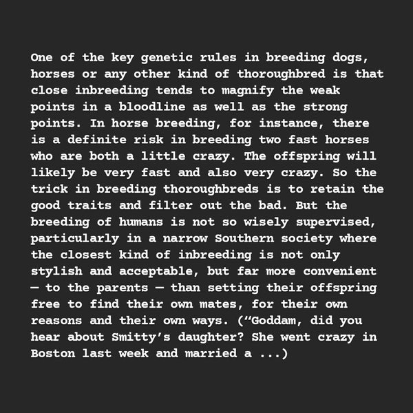 Thumbnail of p-c6jtaygrvyn-24ff4c5050c94007 6