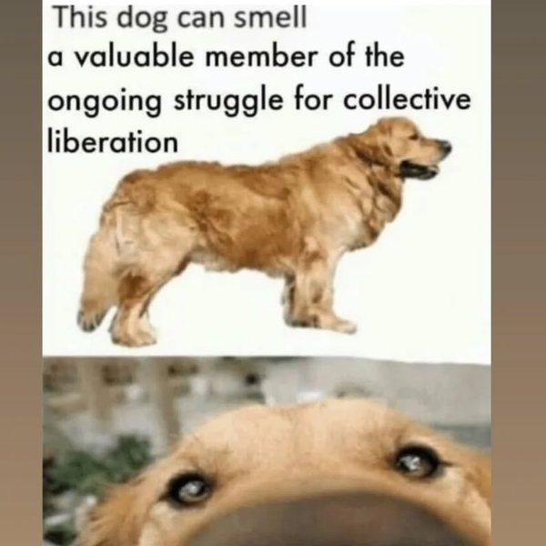 Thumbnail of p-dcb3qvvtzyu-2508e0d4f08e4616 9