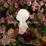 Thumbnail of Maurice Harris @bloomandplume