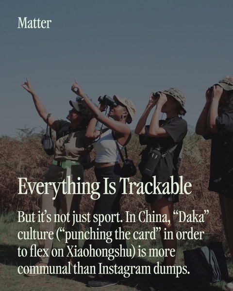 Thumbnail of p-drmbinbdmwq-25536381ca28474c 3