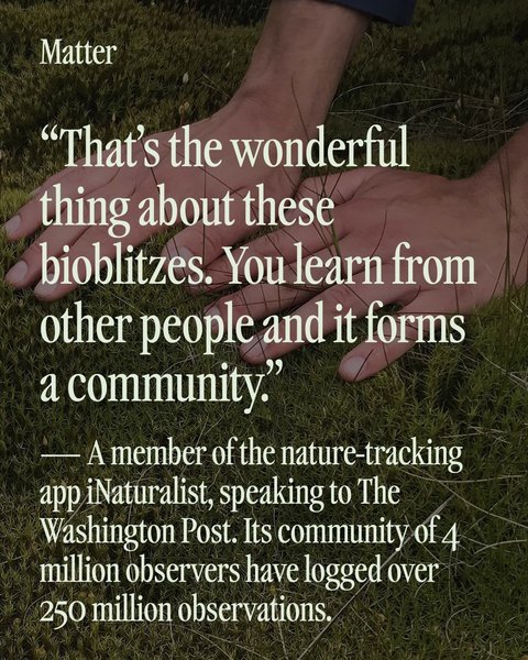 Thumbnail of p-drmbinbdmwq-25536381ca28474c 4