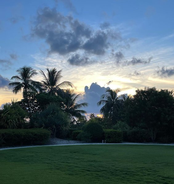 Thumbnail of p-chbn0uemnhy-25a38f569aa34394 3