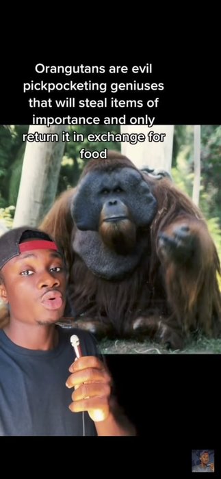 Thumbnail of www-x-com-curiosity-killd-status-1627606923209056256-25e3f77e2e1f417b