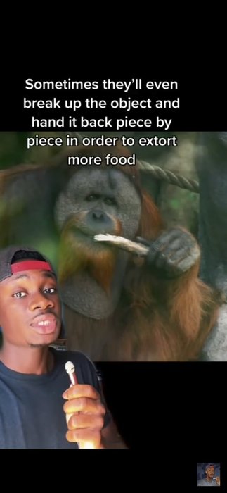 Thumbnail of www-x-com-curiosity-killd-status-1627606923209056256-25e3f77e2e1f417b