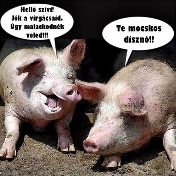 Thumbnail of p-bqmo9rvaxlp-25f225c804604ffd 4