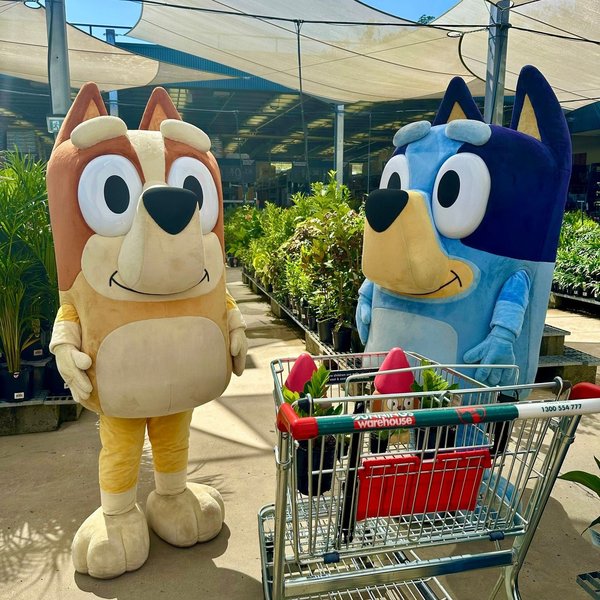 Thumbnail of p-c21kedyi5ks-25fd0a15ab4a48b0 3