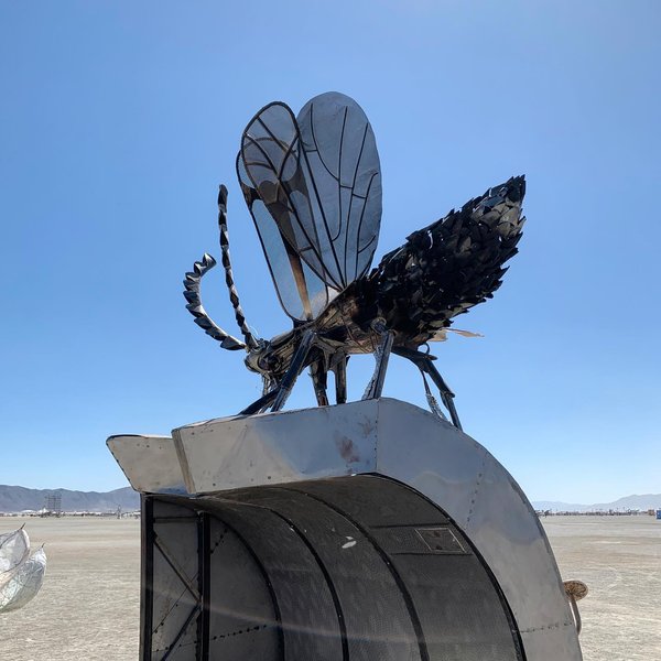 Thumbnail of p-b1rudnsg7e2-26027a8aa80b4f6a 5