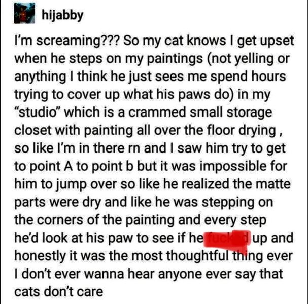 Thumbnail of crwsd-ydtcf-7f5176960897453e 0