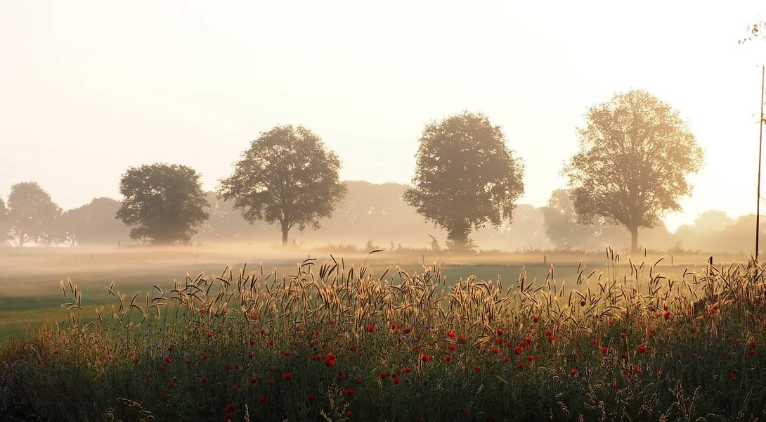 Thumbnail of p-cts7u7gnx9m-26186de5a07748da 0