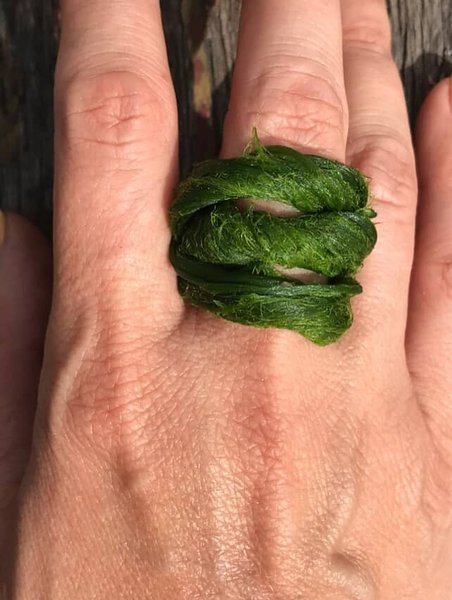 Thumbnail of p-doviywpdrap-263d0288d3554373 3