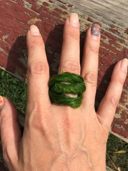 Thumbnail of p-doviywpdrap-263d0288d3554373 4