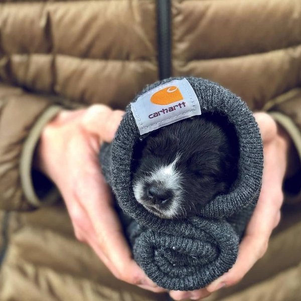 Thumbnail of p-btn3q8njryn-26547968359d4afc 0