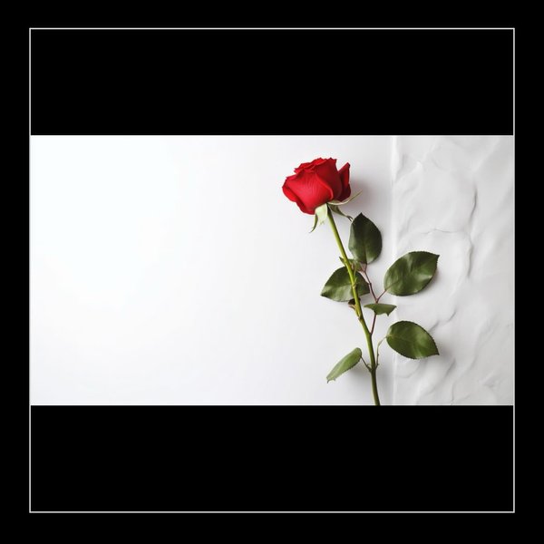 Thumbnail of p-c1cecekrgmp-26553366fb494d6f 6