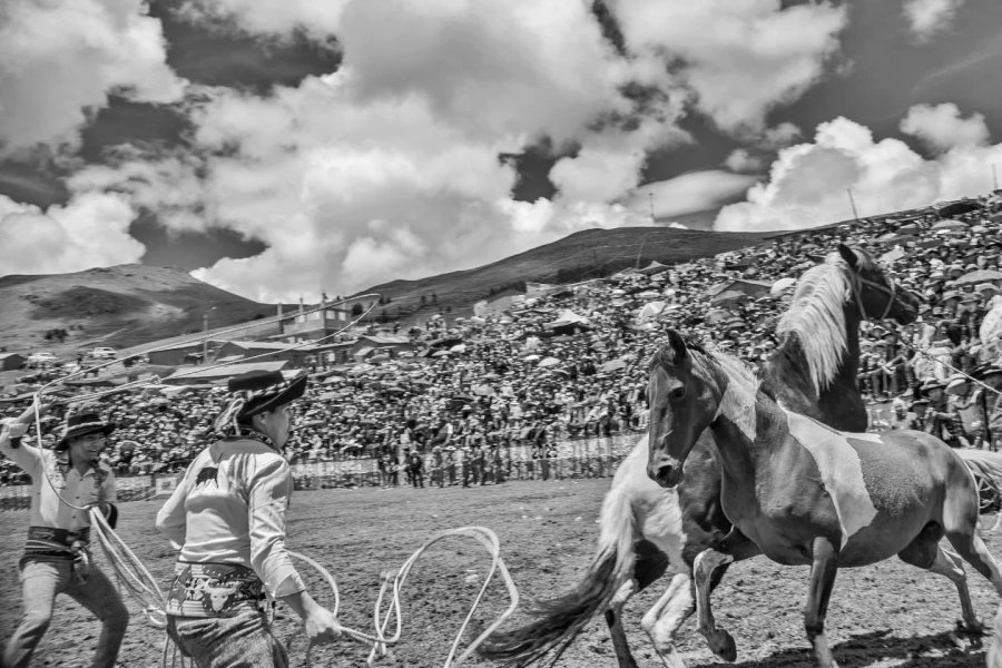 Thumbnail of p-dfabx3ku1j9-267b25242d424b5f 0