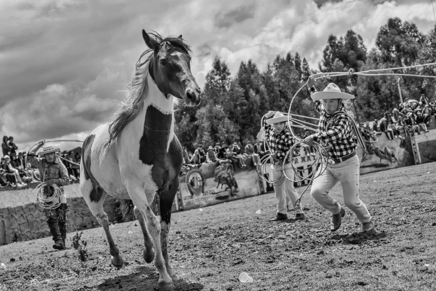 Thumbnail of p-dfabx3ku1j9-267b25242d424b5f 4