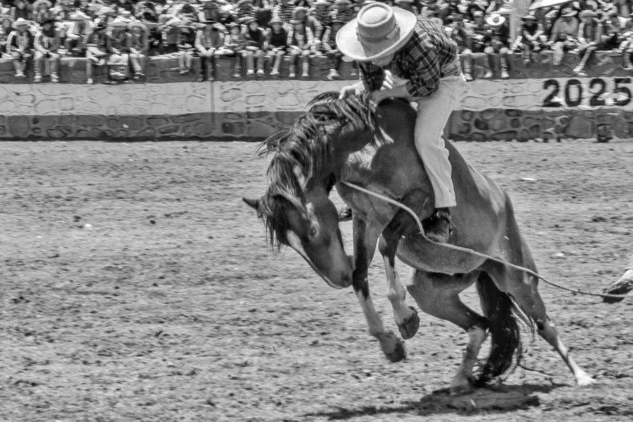 Thumbnail of p-dfabx3ku1j9-267b25242d424b5f 5