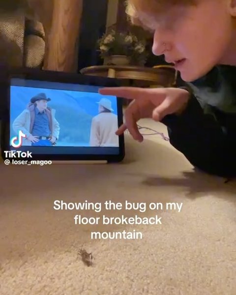 Thumbnail of p-dipbw7yz95r-2689b1ce6fa9434e 1