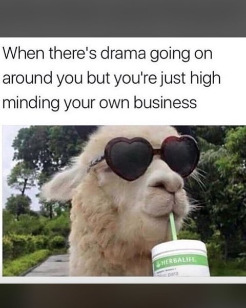 Thumbnail of p-dipbw7yz95r-2689b1ce6fa9434e 10