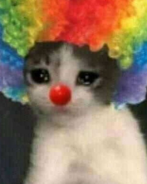 Thumbnail of p-dipbw7yz95r-2689b1ce6fa9434e 14