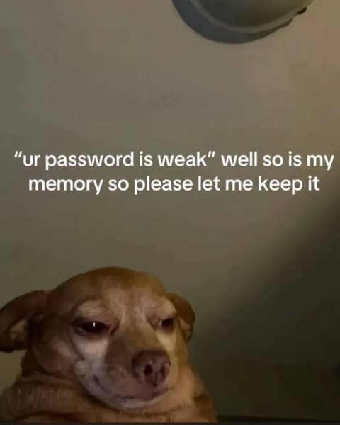 Thumbnail of p-dipbw7yz95r-2689b1ce6fa9434e 18