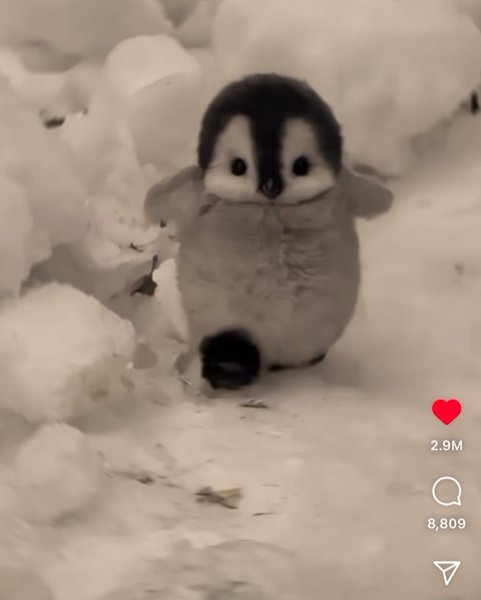 Thumbnail of p-dipbw7yz95r-2689b1ce6fa9434e 7