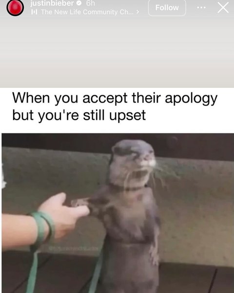 Thumbnail of p-dipbw7yz95r-2689b1ce6fa9434e 9