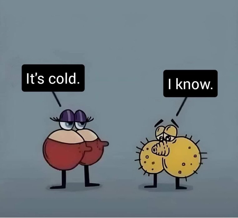 Thumbnail of www-x-com-andibaby8-status-1866961050664321487-269047d7d7384c51