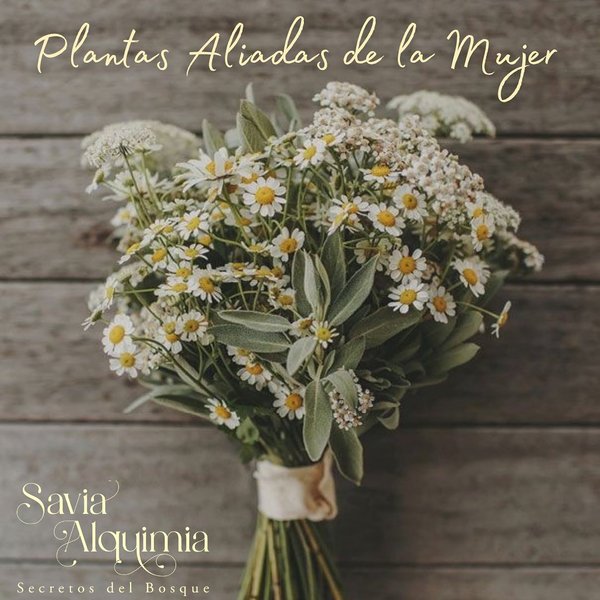 Thumbnail of p-cdlynr0o9pq-26becc4e78e64fef 0