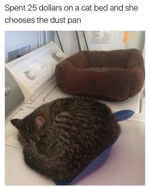 Thumbnail of p-brhsugih09b-26f69c1186f84131 0