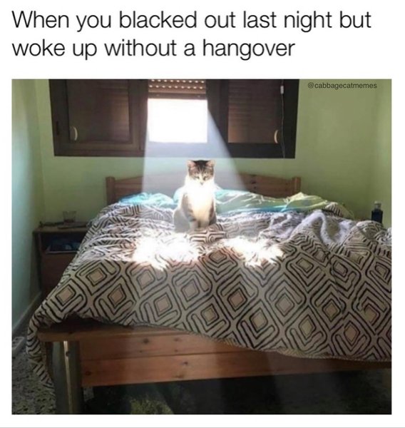 Thumbnail of p-cugjuumpcow-26f7d6f6bf3a4f83 0