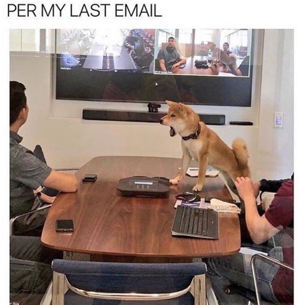 Thumbnail of p-bppanf5fs7w-26fc27d13dcc49ca 0