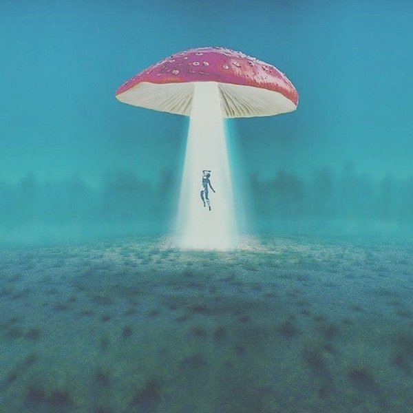 Thumbnail of p-by9gj51fqu7-270773c12f30408a 0