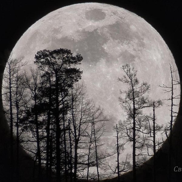 Thumbnail of p-bvswthkhvvi-271a037b8d6c4b3f 0