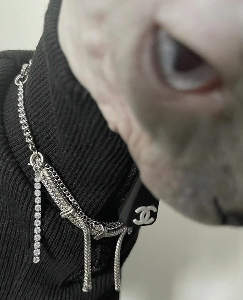 Thumbnail of p-cxwtjtuswpo-4661ca2d3e654a03 3
