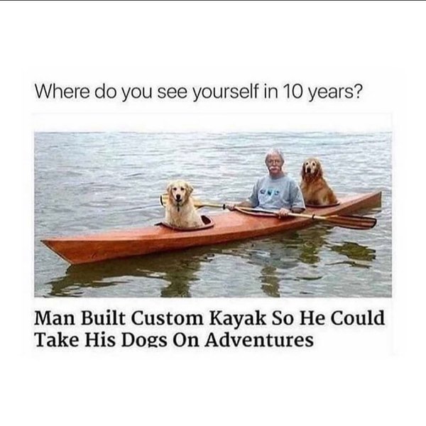 Thumbnail of p-b6dhigsndp8-2737fa13223d456b 5