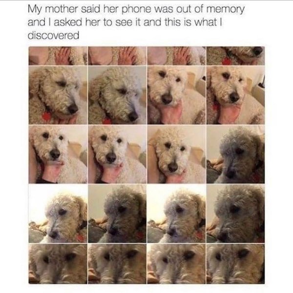 Thumbnail of p-b6dhigsndp8-2737fa13223d456b 6