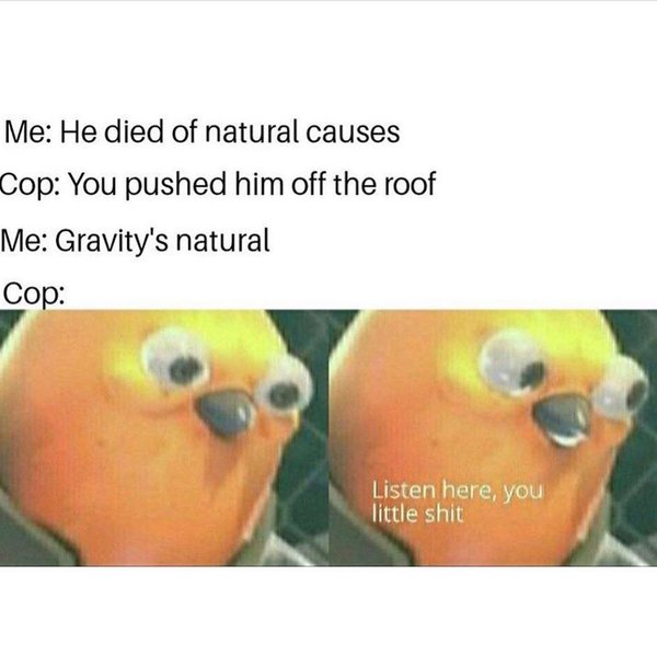 Thumbnail of p-b6dhigsndp8-2737fa13223d456b 8