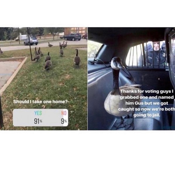 Thumbnail of p-bqthgishu6i-27393bf1a89c4cc6 0