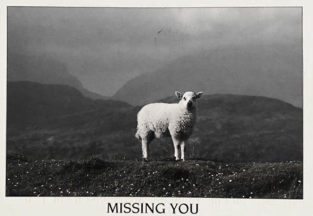 Thumbnail of www-x-com-seapearlangel-status-1827549685663342933-273d1bf63998424b