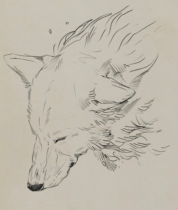 Thumbnail of www-x-com-wolfskulljack-status-1618367891174490113-27438f8707b74edd