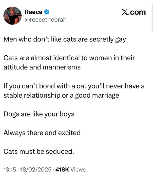 Thumbnail of www-x-com-celestialbe1ng-status-1988410857546744164-274fd174bc5d4946