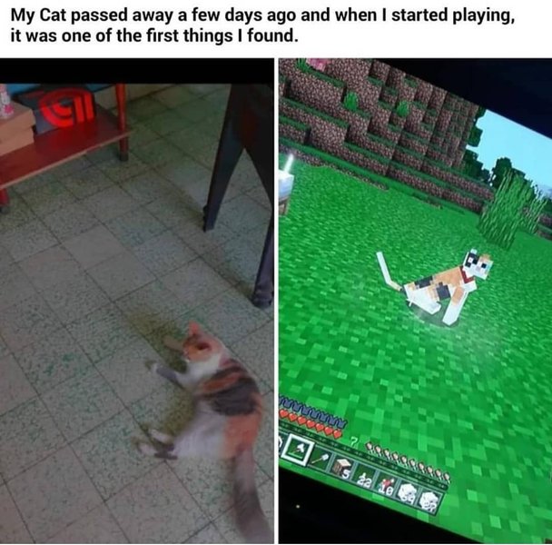 Thumbnail of tlew-lesq-27565094878f4a86 0