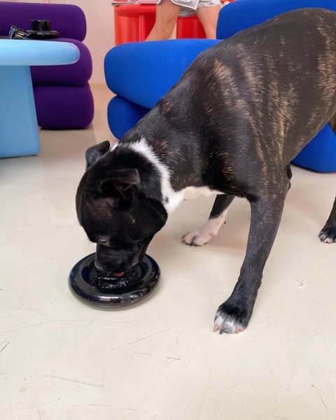 Thumbnail of cumy-fosyiq-27c4a53d6d4c4b82 6