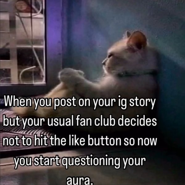 Thumbnail of p-dhb4uovxvg4-27ca81101ce14c04 5