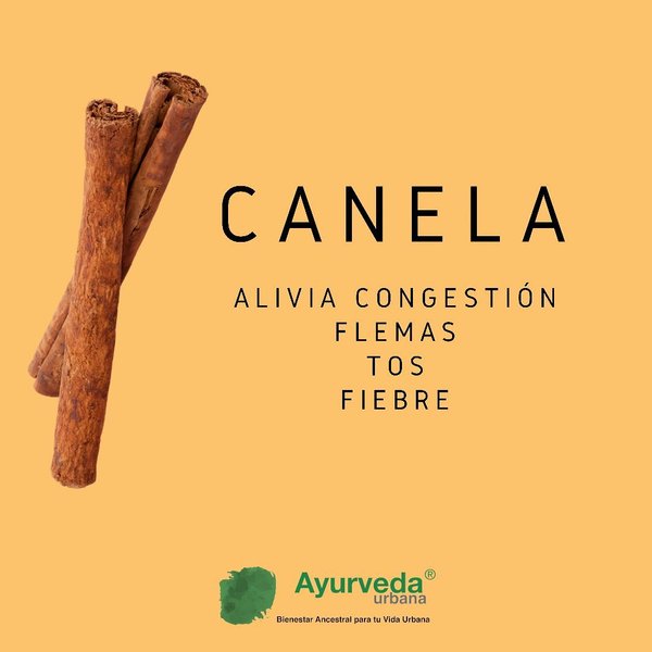 Thumbnail of p-ctlabwvjebc-27f1da689cf64140 1